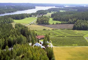 ilmakuva